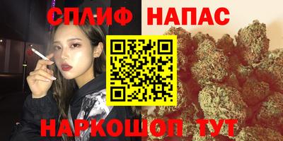 мяу мяу мука Пугачёв