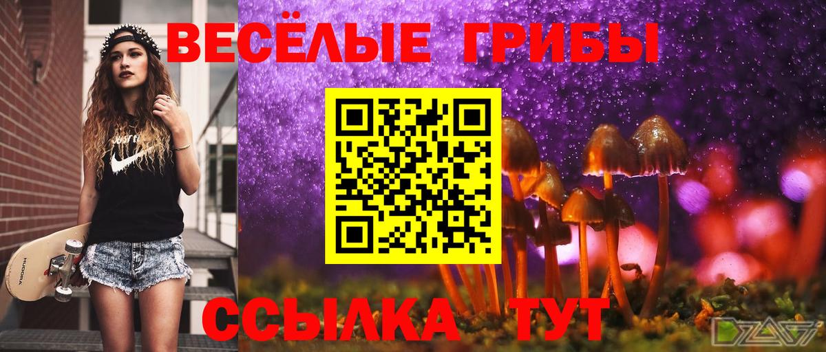 Псилоцибиновые грибы Psilocybine cubensis  Вход с VPN  Нововоронеж 