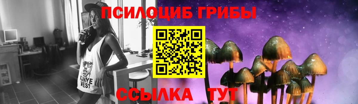 Псилоцибиновые грибы прущие грибы Нововоронеж